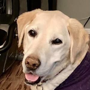 Meet your Posher, Katey